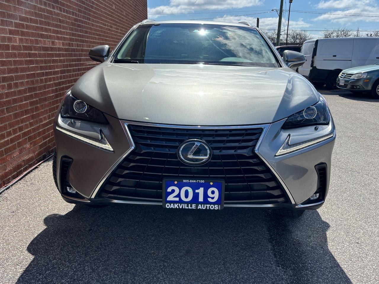 2019 Lexus NX 300 NX 300 AWD Photo