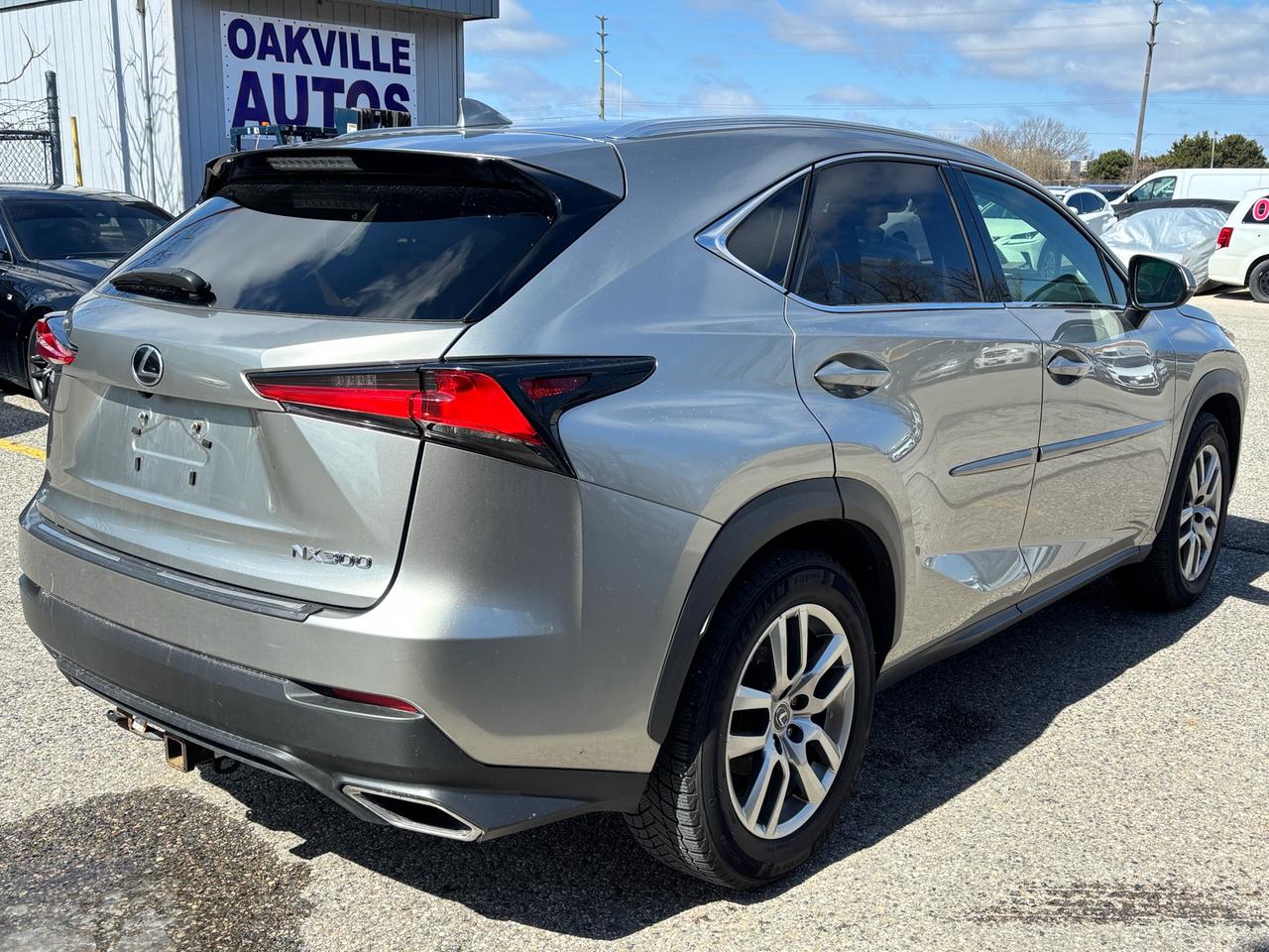 2019 Lexus NX 300 NX 300 AWD Photo