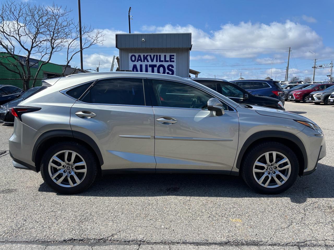 2019 Lexus NX 300 NX 300 AWD Photo