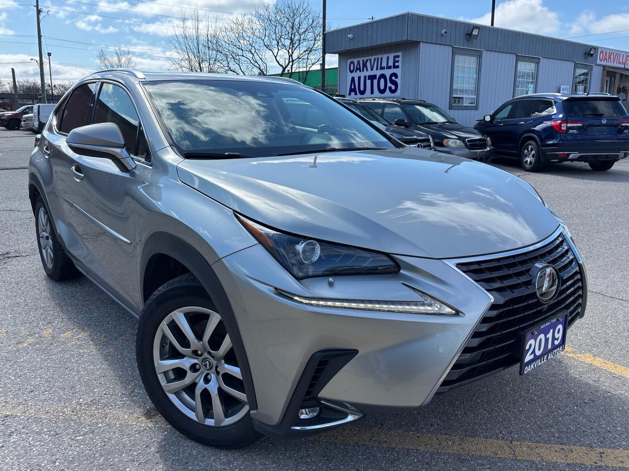 2019 Lexus NX 300 NX 300 AWD Photo