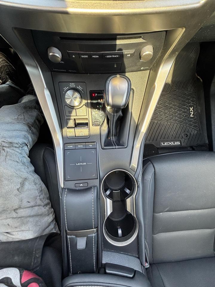 2019 Lexus NX 300 NX 300 AWD Photo
