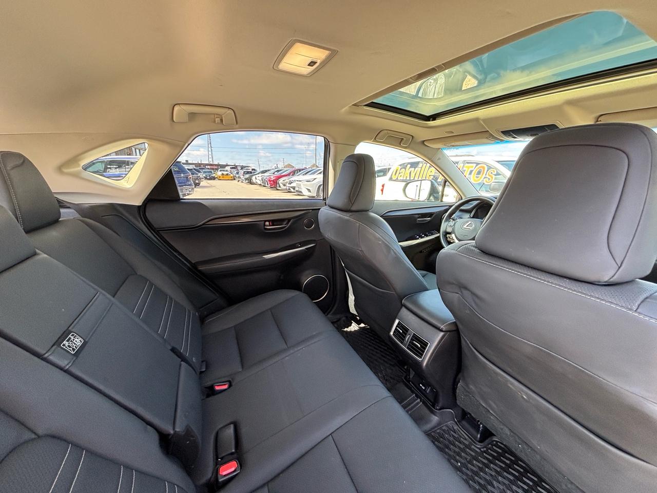 2019 Lexus NX 300 NX 300 AWD Photo