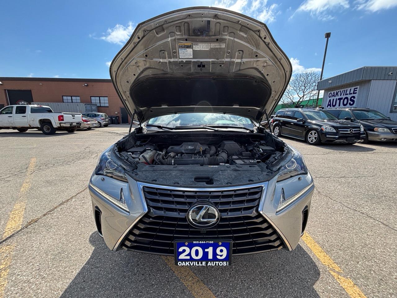 2019 Lexus NX 300 NX 300 AWD Photo