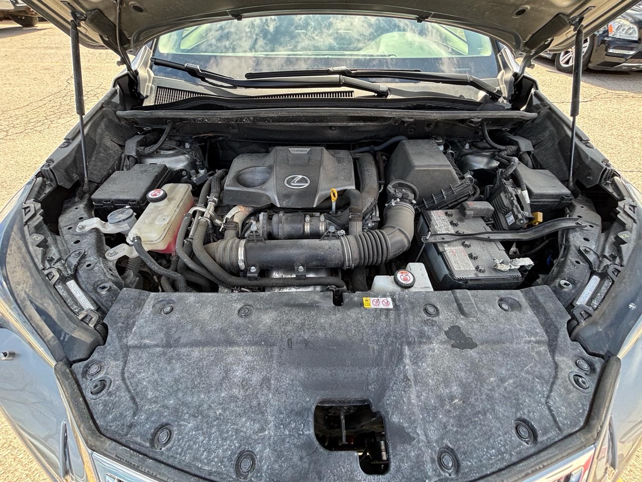 2019 Lexus NX 300 NX 300 AWD Photo