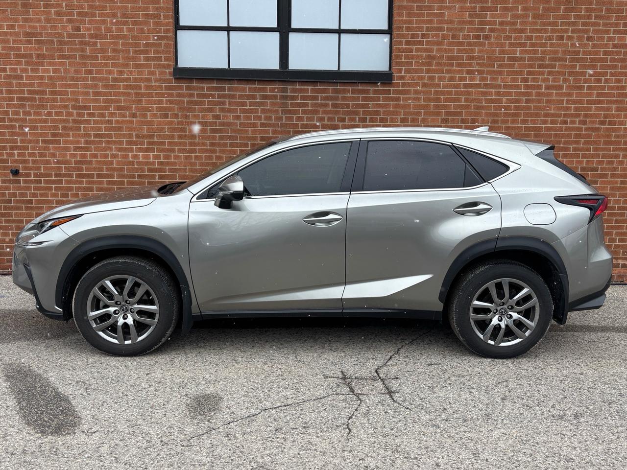 2020 Lexus NX NX 300 AWD Photo