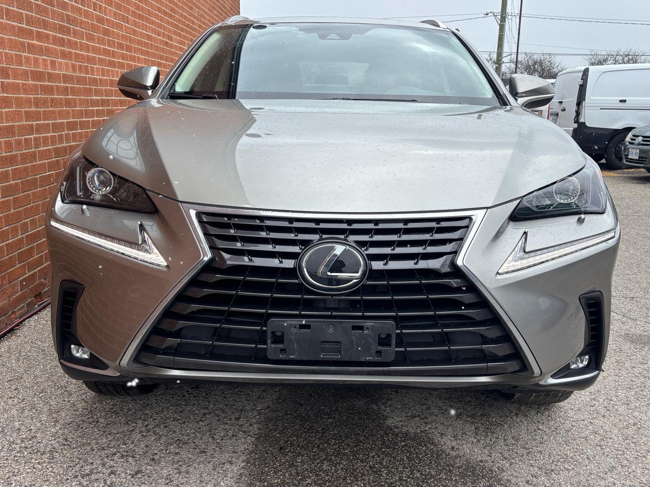 2020 Lexus NX NX 300 AWD Photo