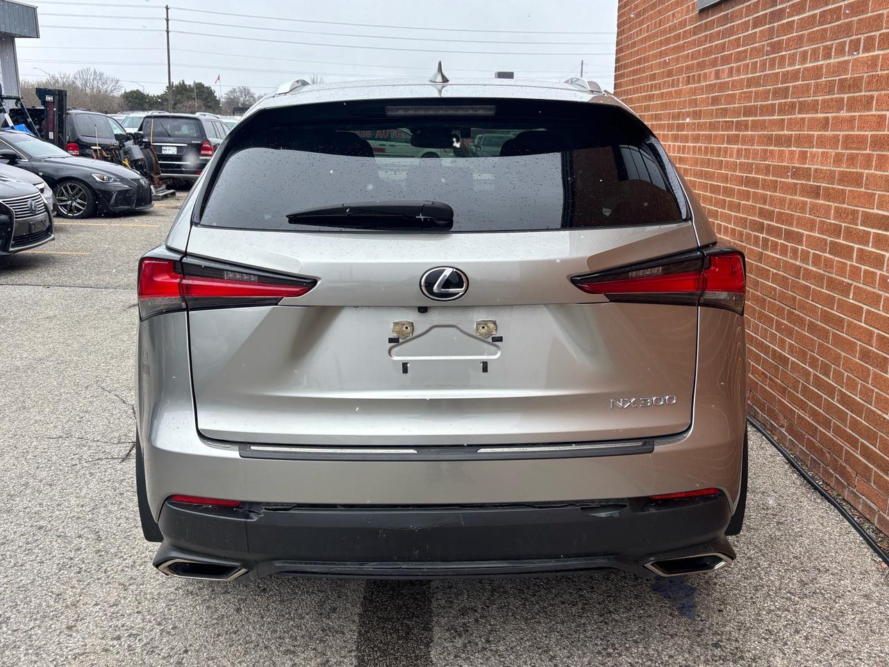2020 Lexus NX NX 300 AWD Photo