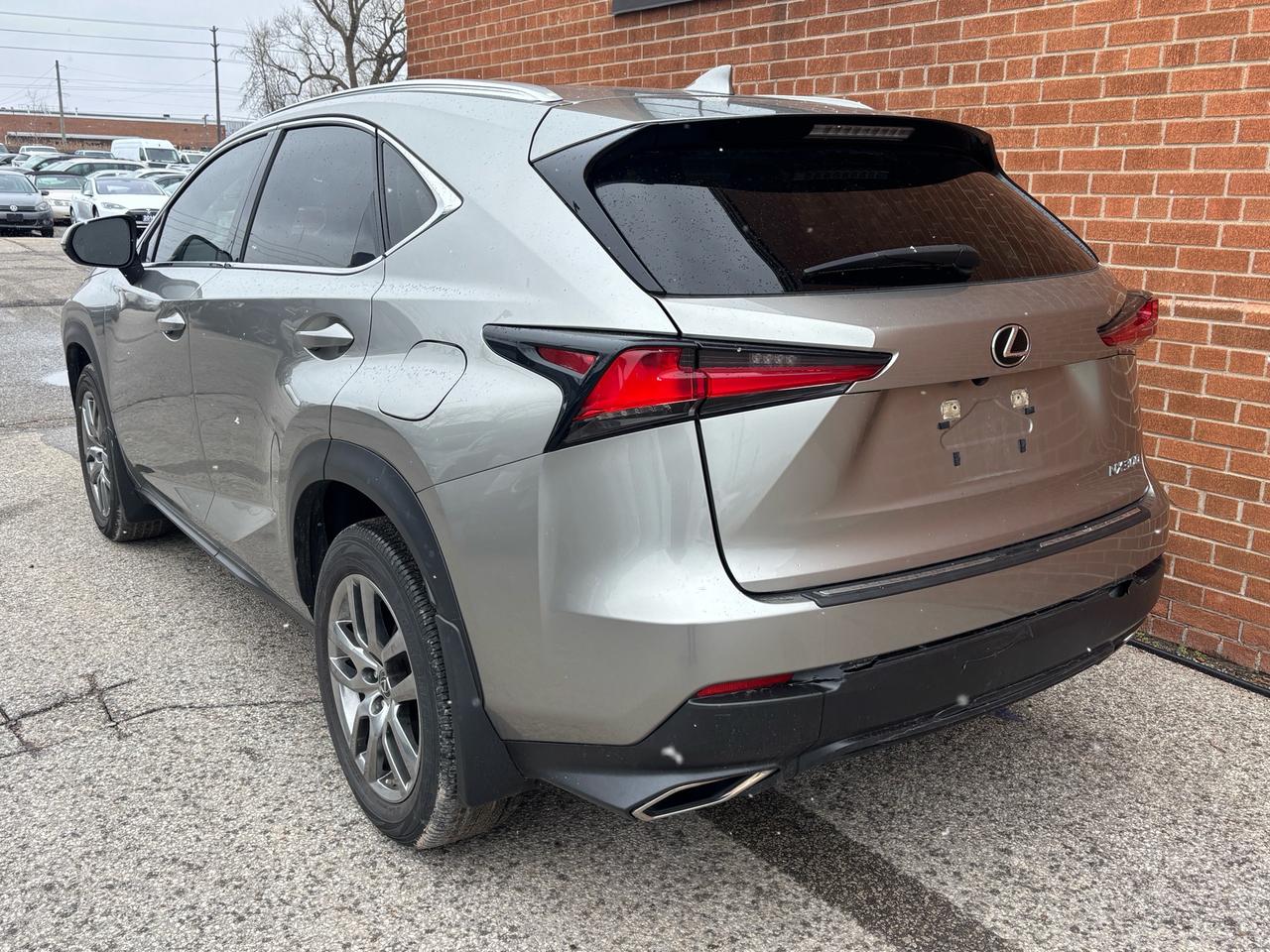 2020 Lexus NX NX 300 AWD Photo3
