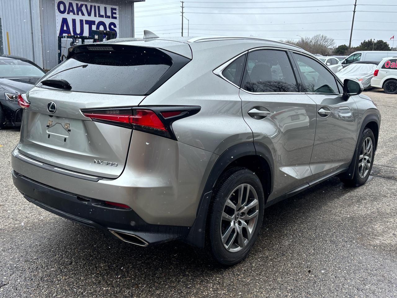 2020 Lexus NX NX 300 AWD Photo