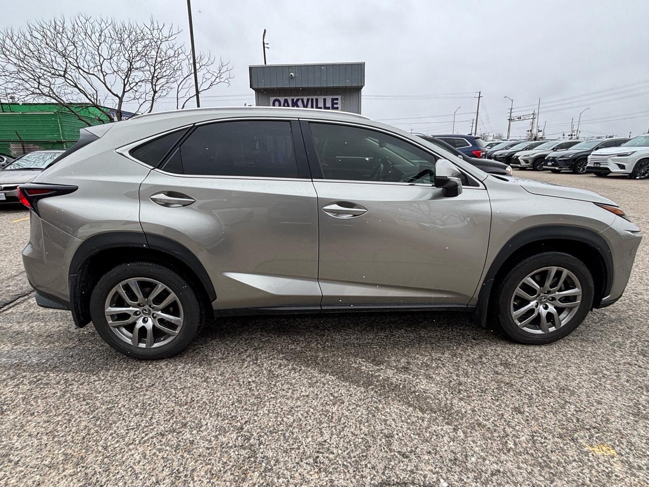 2020 Lexus NX NX 300 AWD Photo