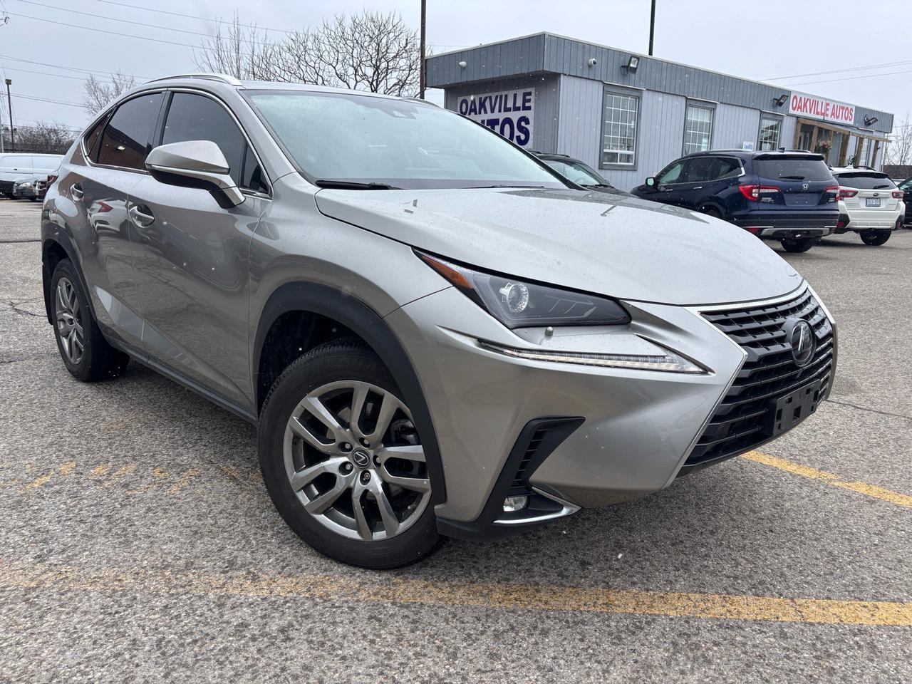 2020 Lexus NX NX 300 AWD Photo