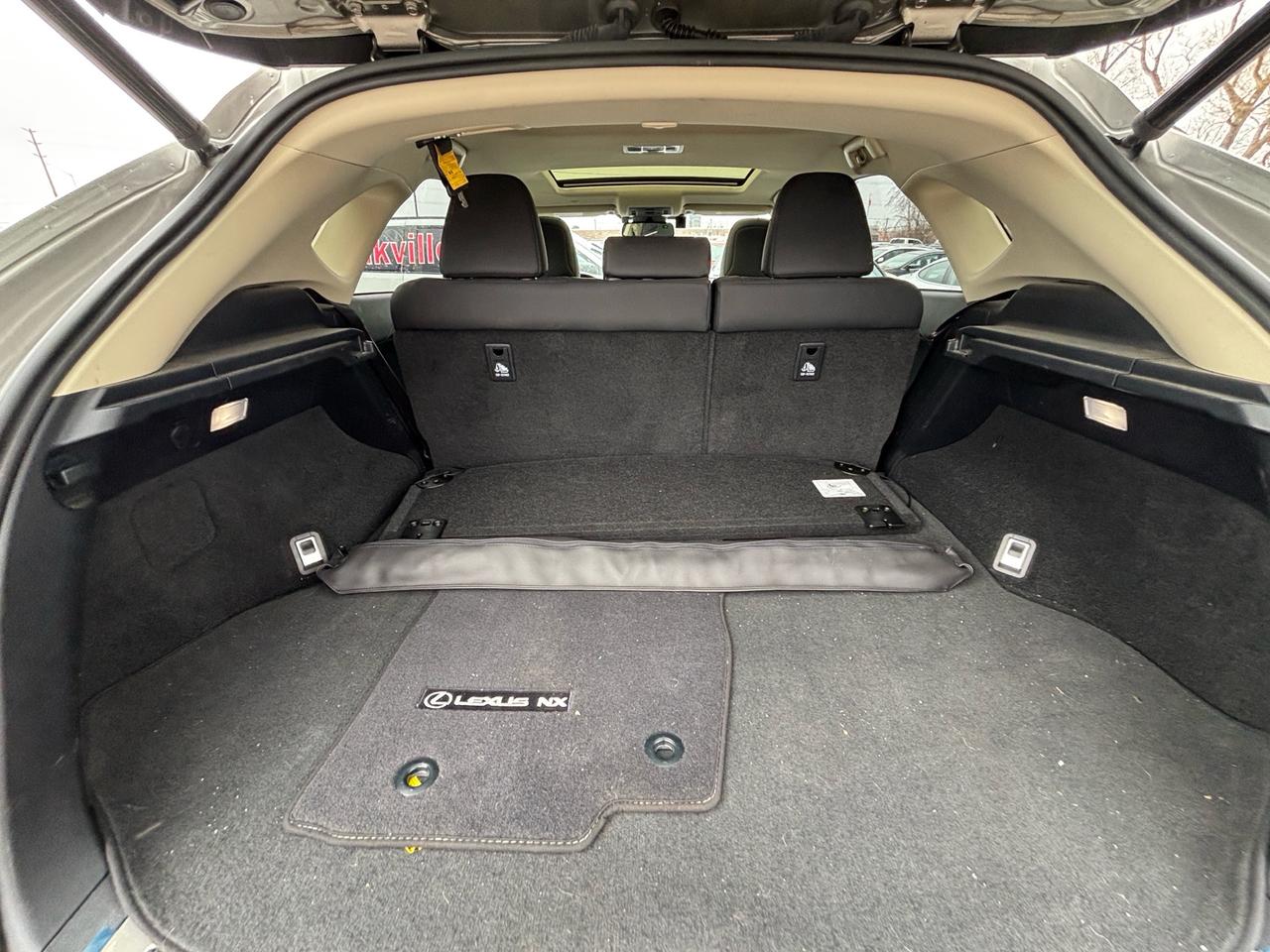 2020 Lexus NX NX 300 AWD Photo