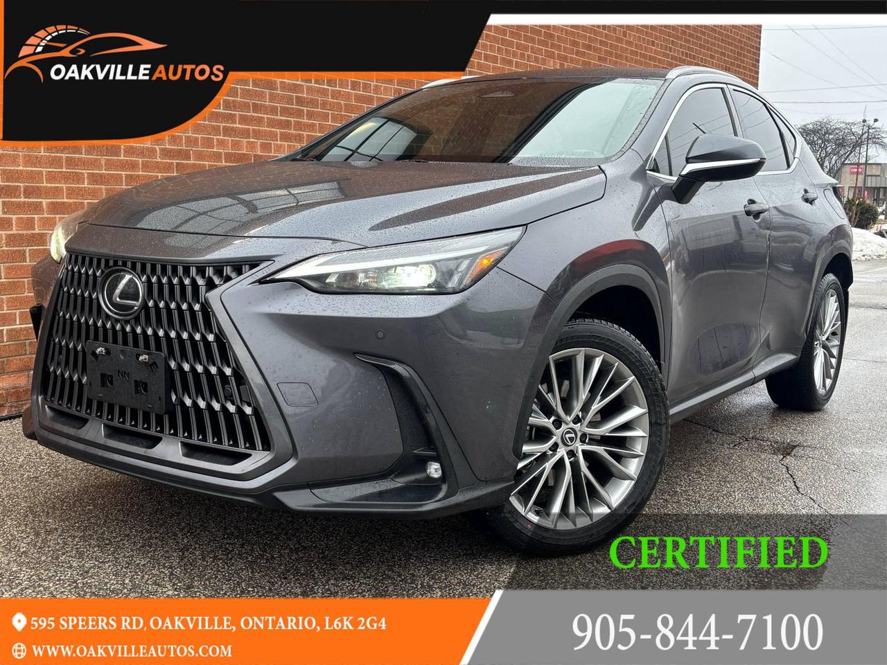 Used 2024 Lexus NX NX 350h Luxury AWD for sale in Oakville, ON