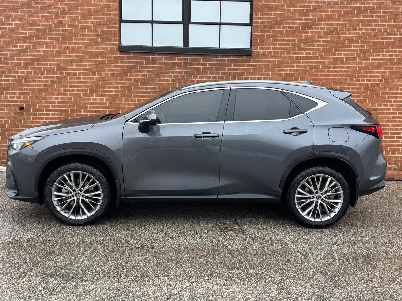 2024 Lexus NX NX 350h Luxury AWD Photo