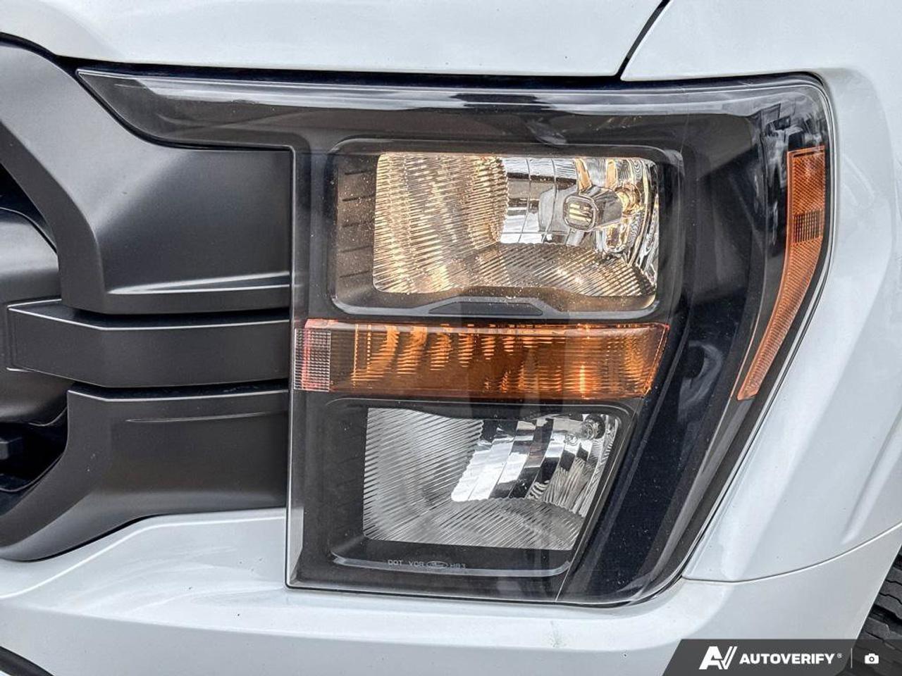 2023 Ford F-150 XLT   FX4 OFF RD PKG   TAILGATE STEP Photo