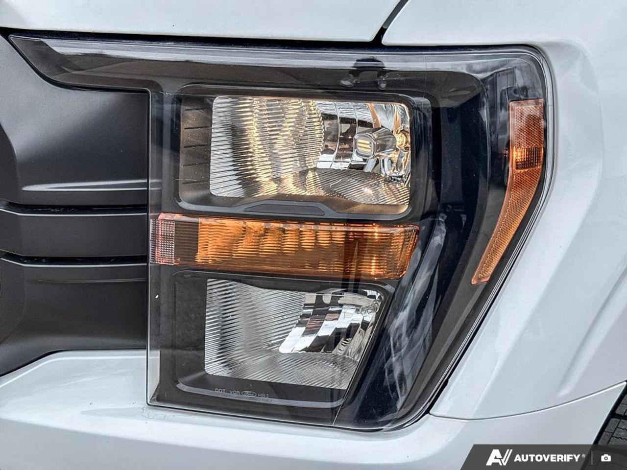 2023 Ford F-150 XLT   TRAILER TOW PKG   REAR CAMERA Photo