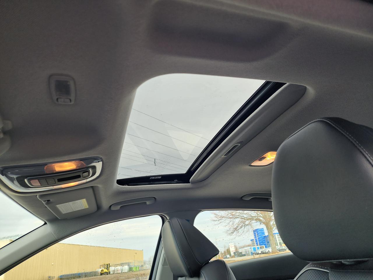 2026 Hyundai Elantra HEV Luxury Photo