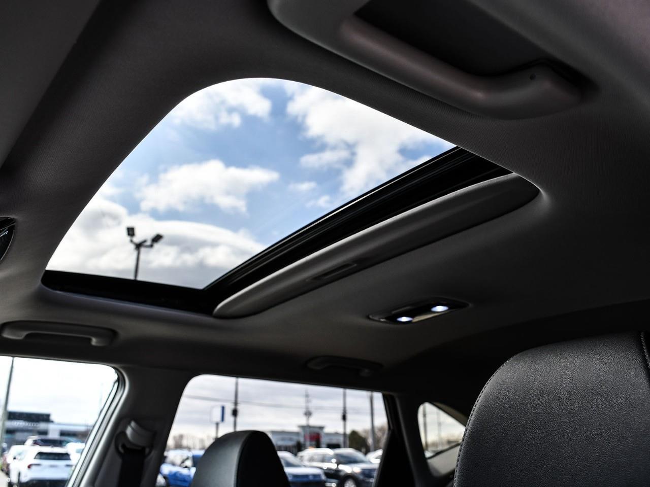 2026 Kia Seltos SX w/Black Interior 2026 Kia Sportage – SX Photo