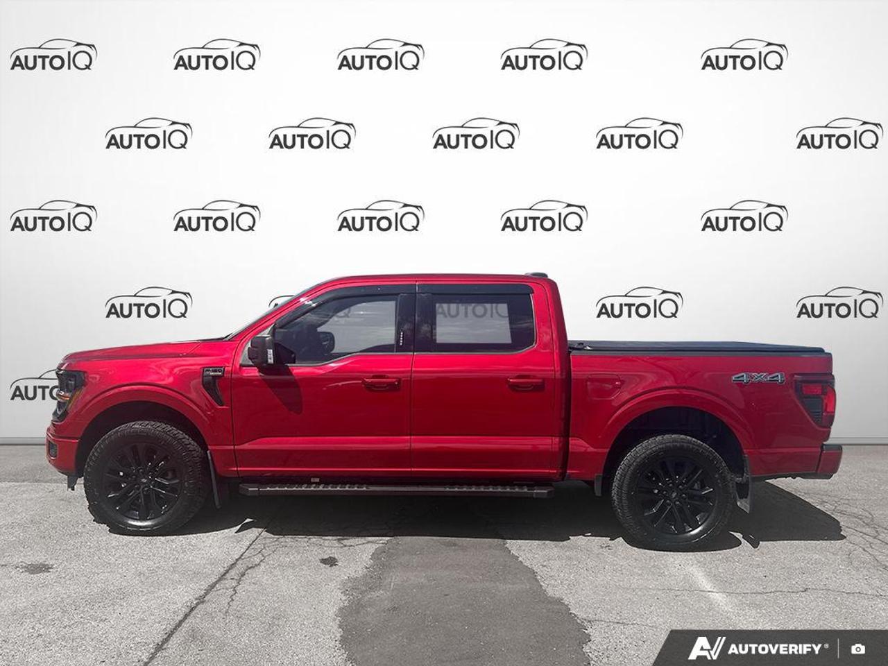 2024 Ford F-150 XLT 303A SUNROOF LEATHER CREW CAB 4X4 CERTIFIED Photo3