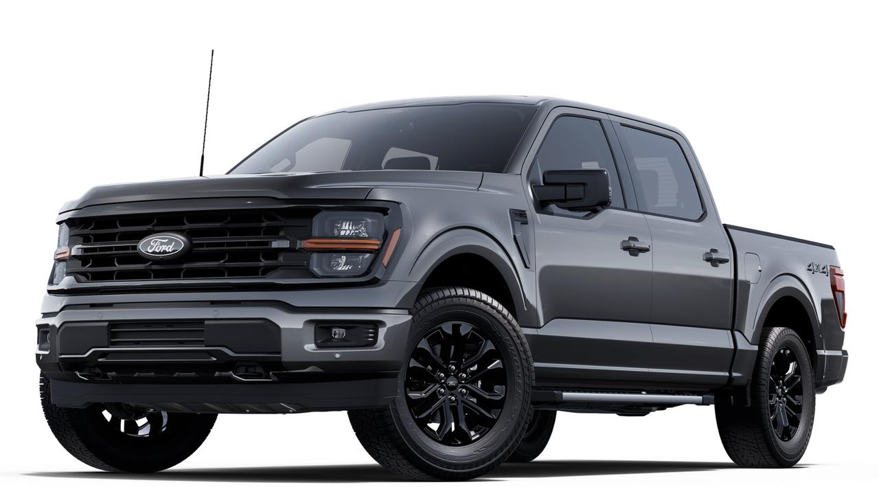 2025 Ford F-150 XLT 4WD SuperCrew 5.5' Box Photo0