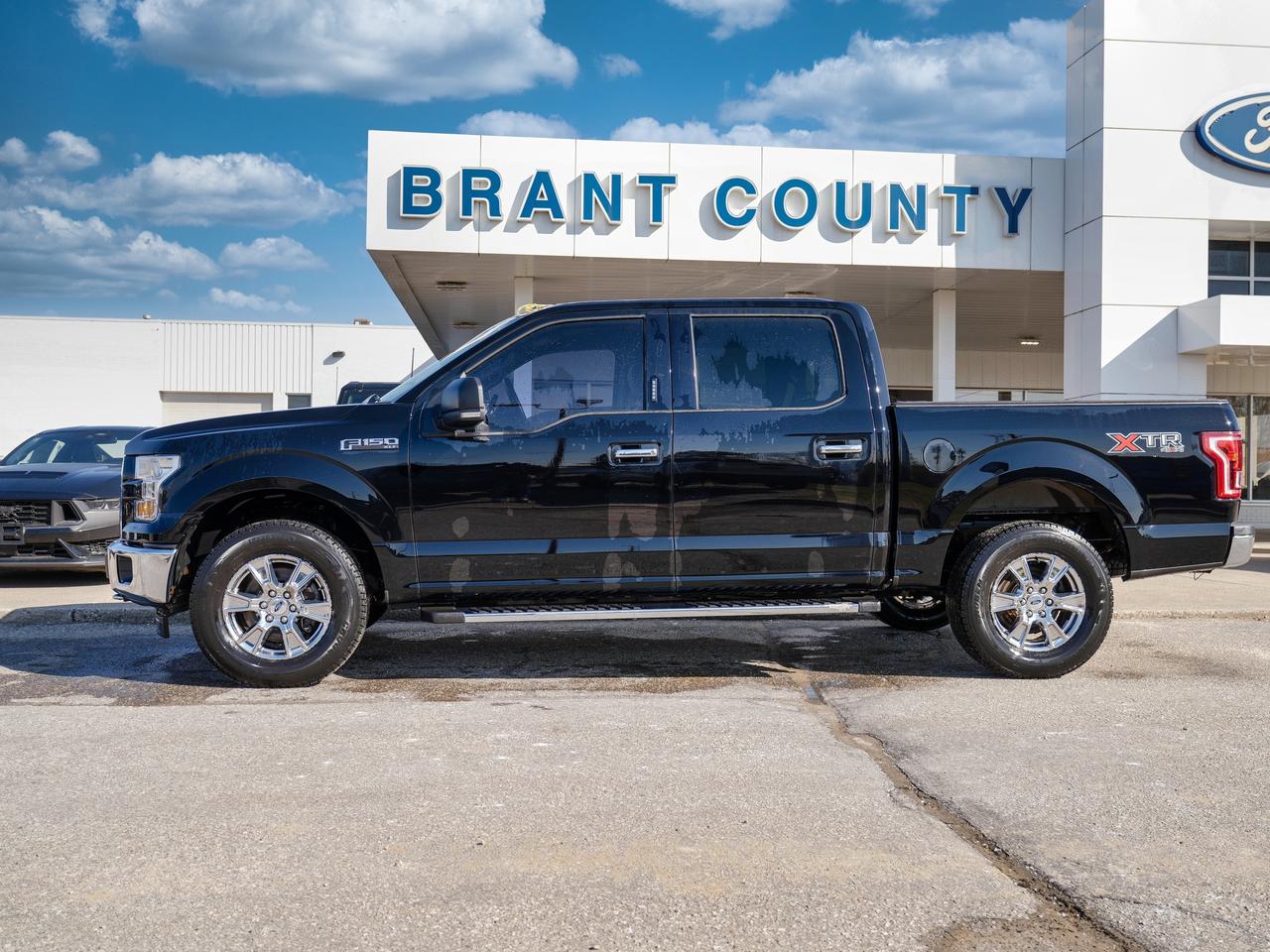 2017 Ford F-150 SIDE STEPS | 4X4 | RELIABLE. RUGGED. READY. Photo2