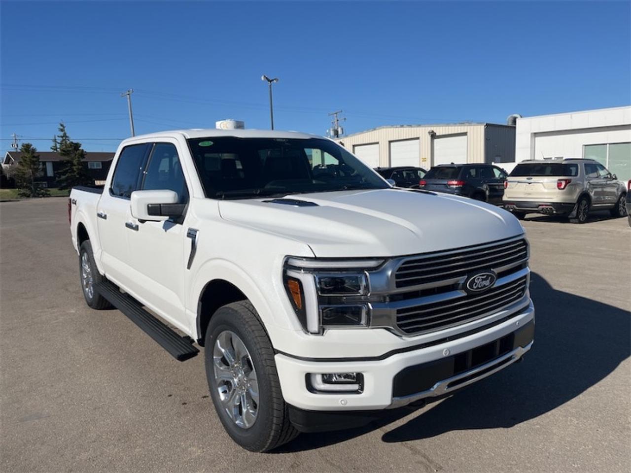 2026 Ford F-150 Platinum Photo2