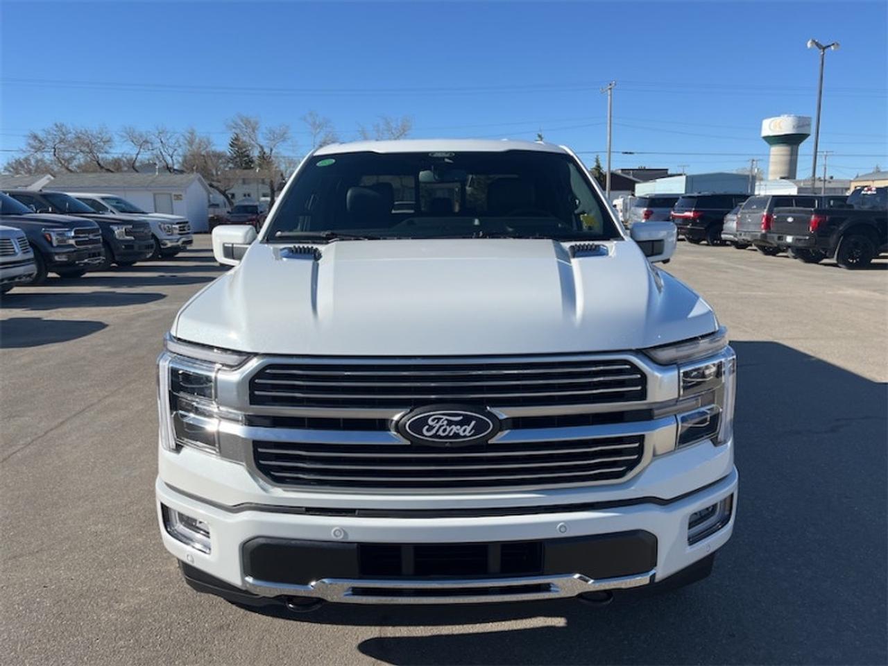 2026 Ford F-150 Platinum Photo