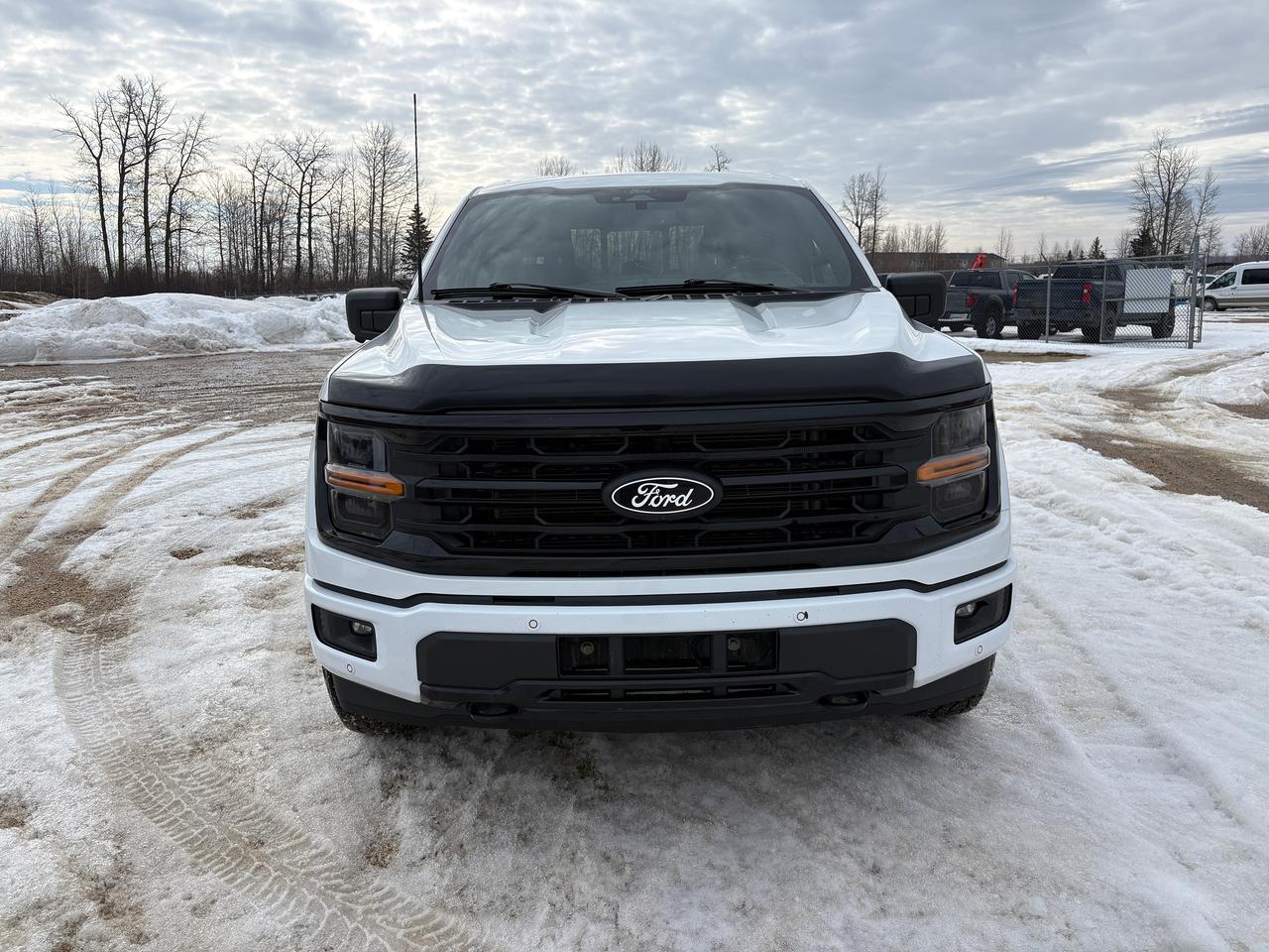 2024 Ford F-150 XLT Photo1