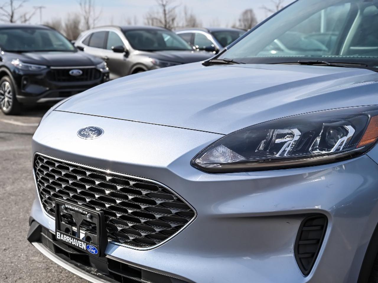 2022 Ford Escape SE Photo