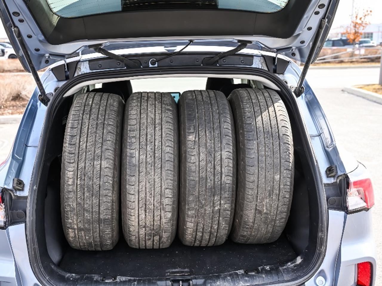 2022 Ford Escape SE Photo