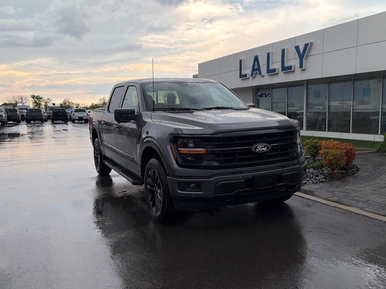 2026 Ford F-150 XLT 4WD SuperCrew 5.5' Box Photo