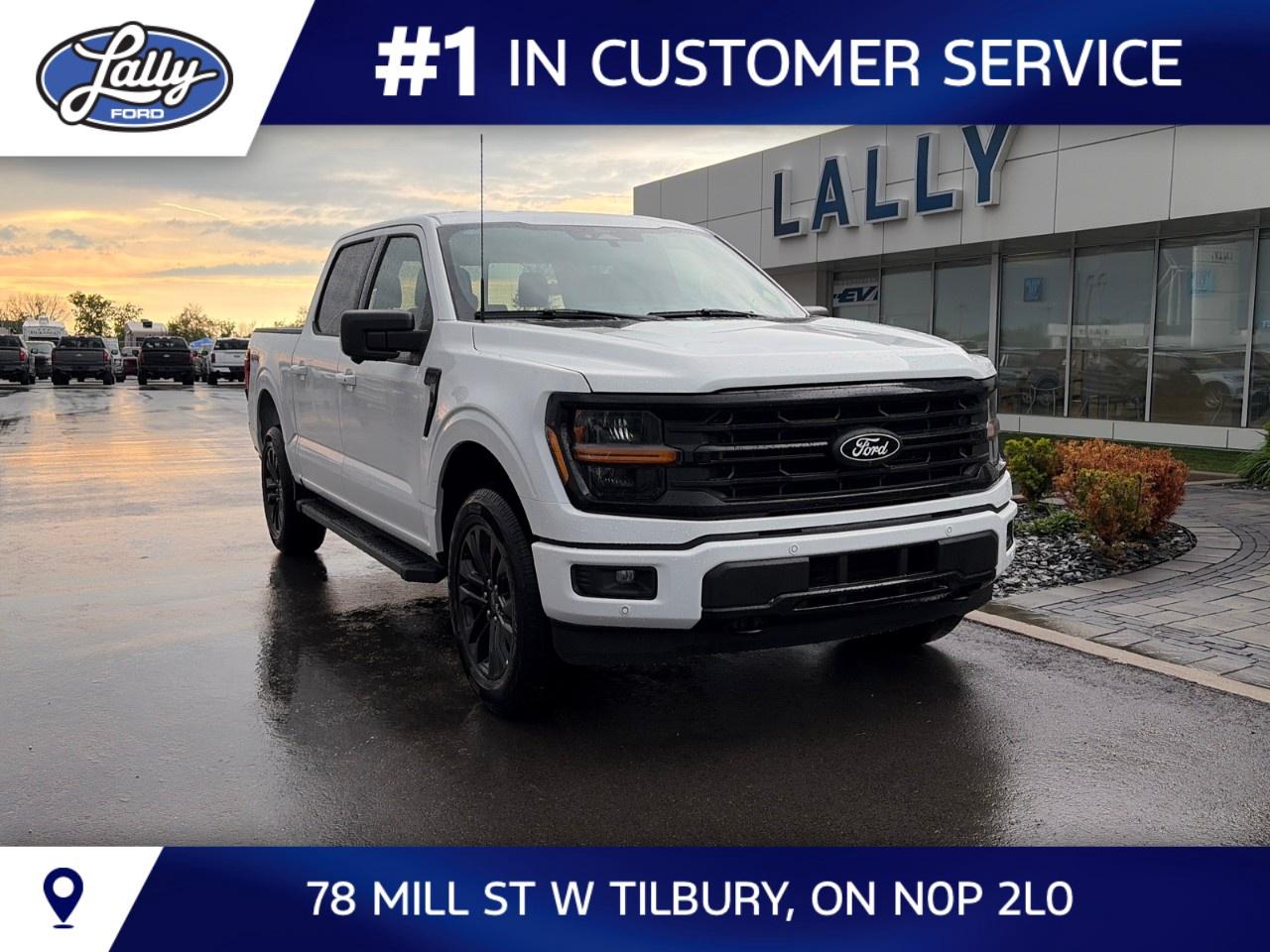 2026 Ford F-150 XLT 4WD SuperCrew 5.5' Box Photo