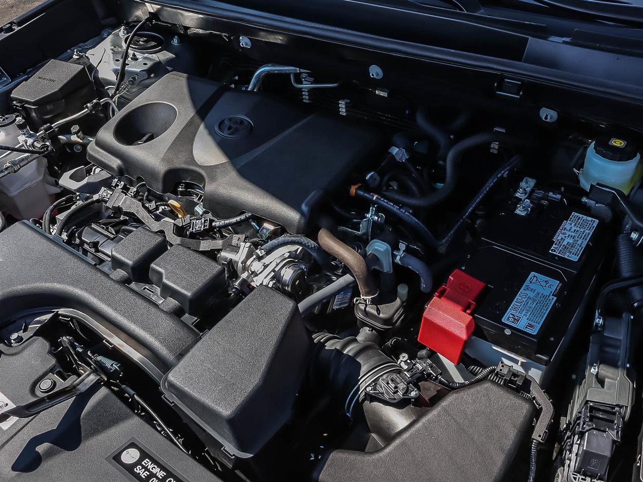 2025 Toyota RAV4 XLE Photo