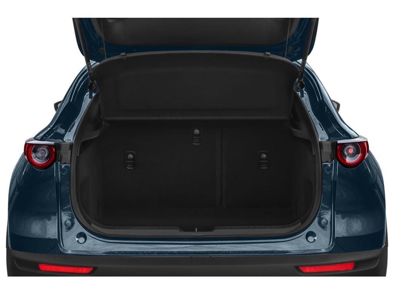 2021 Mazda CX-30 GS Photo