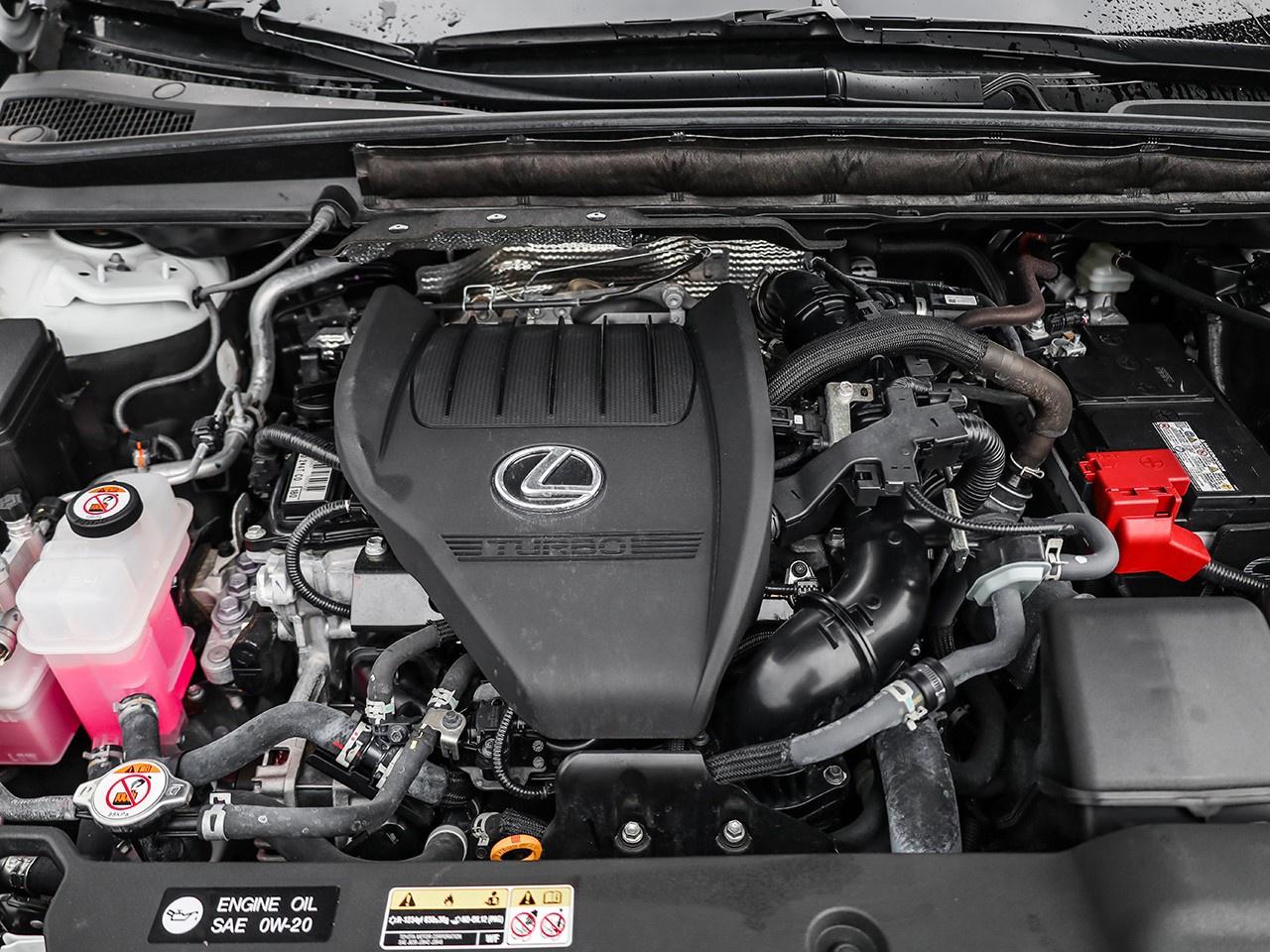 2024 Lexus RX 350  Photo