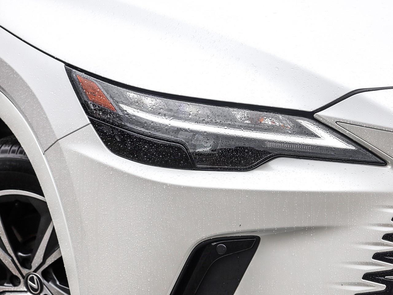 2024 Lexus RX 350  Photo