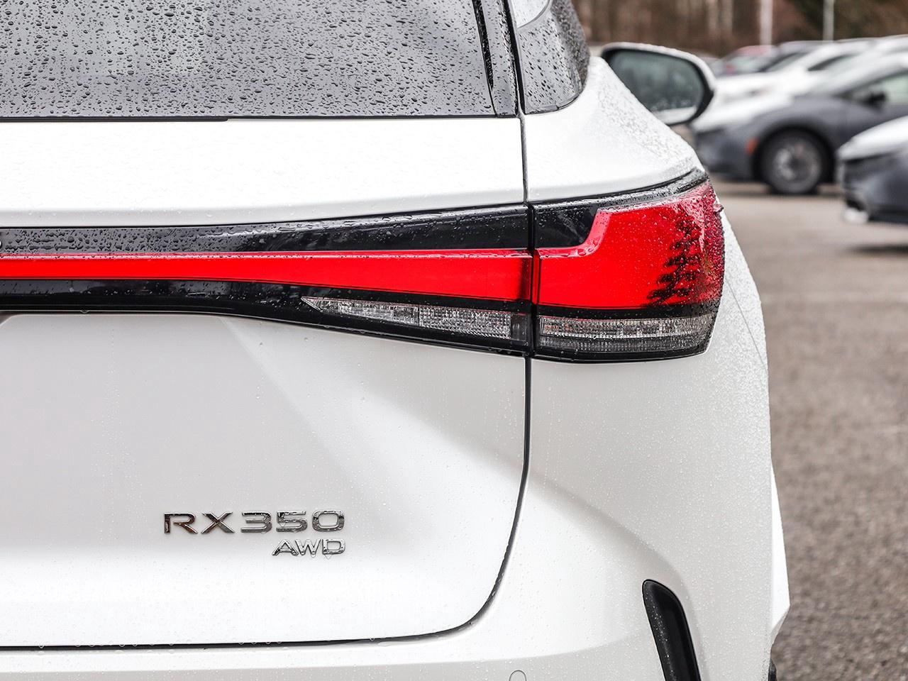2024 Lexus RX 350  Photo