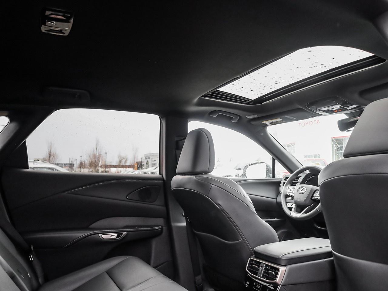 2024 Lexus RX 350  Photo