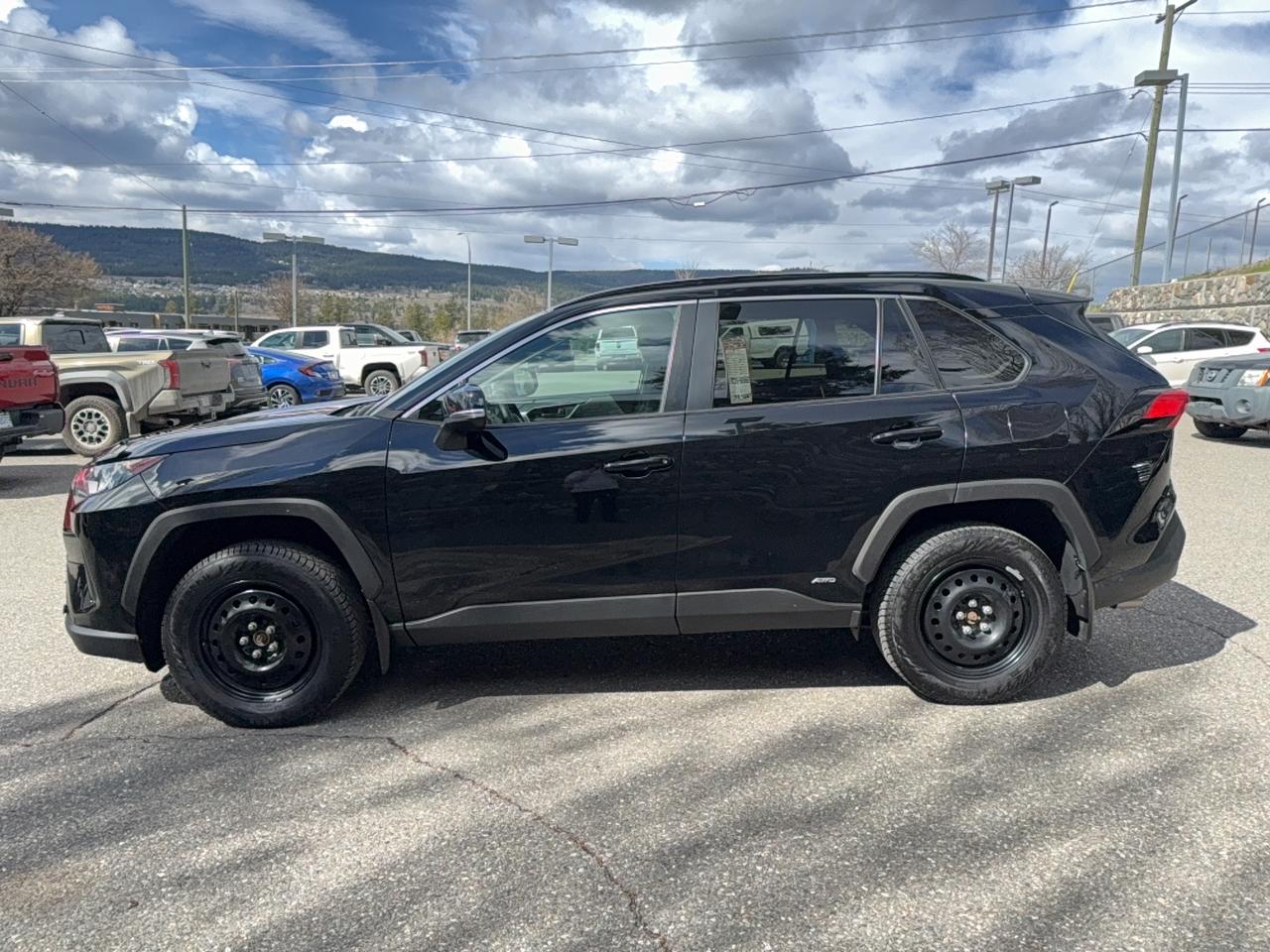 2024 Toyota RAV4 Hybrid LE AWD Photo