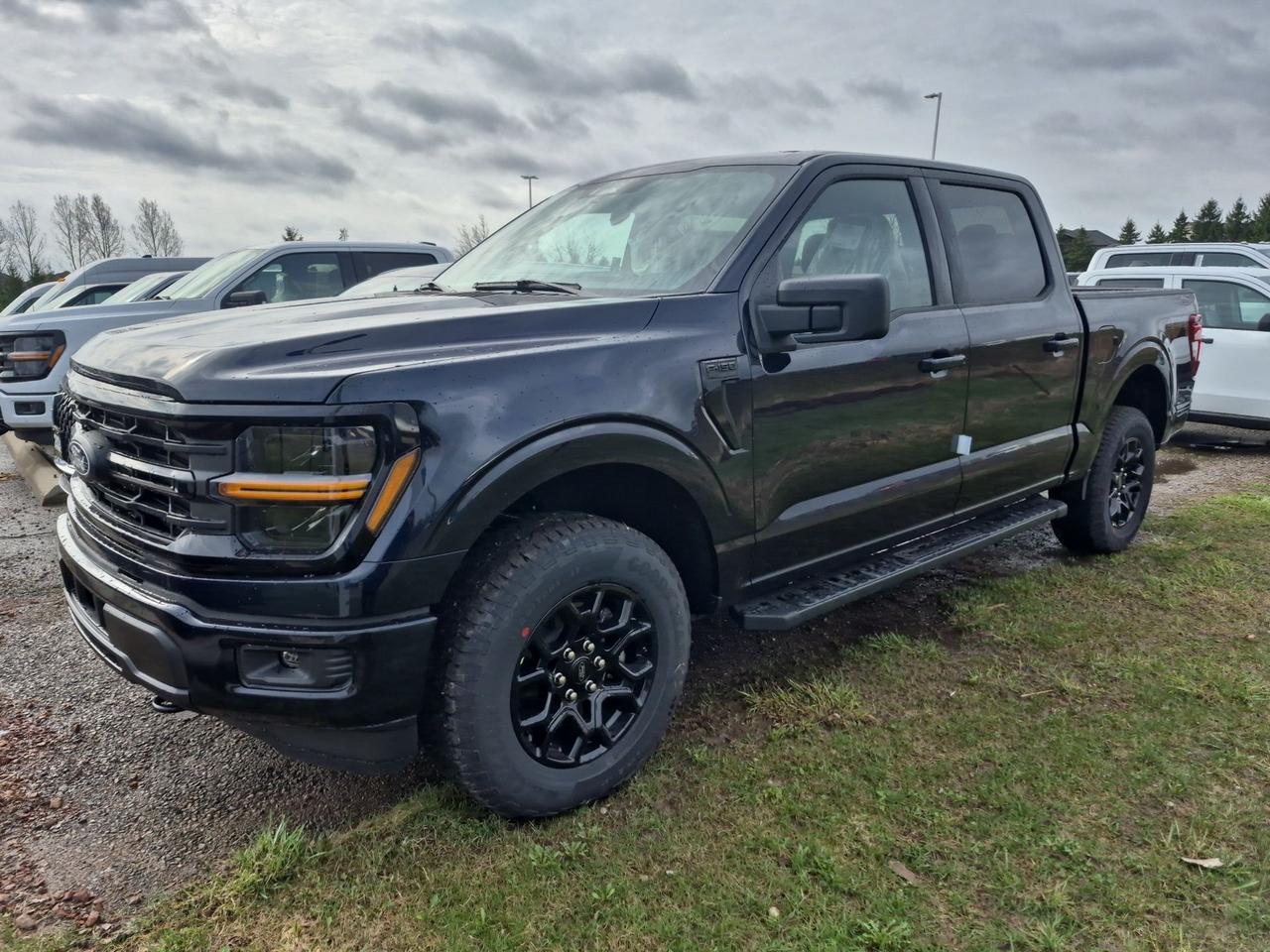 2026 Ford F-150 XLT, BLACK PKG, BLIND SPOT MONITOR, SYNC4 Photo0