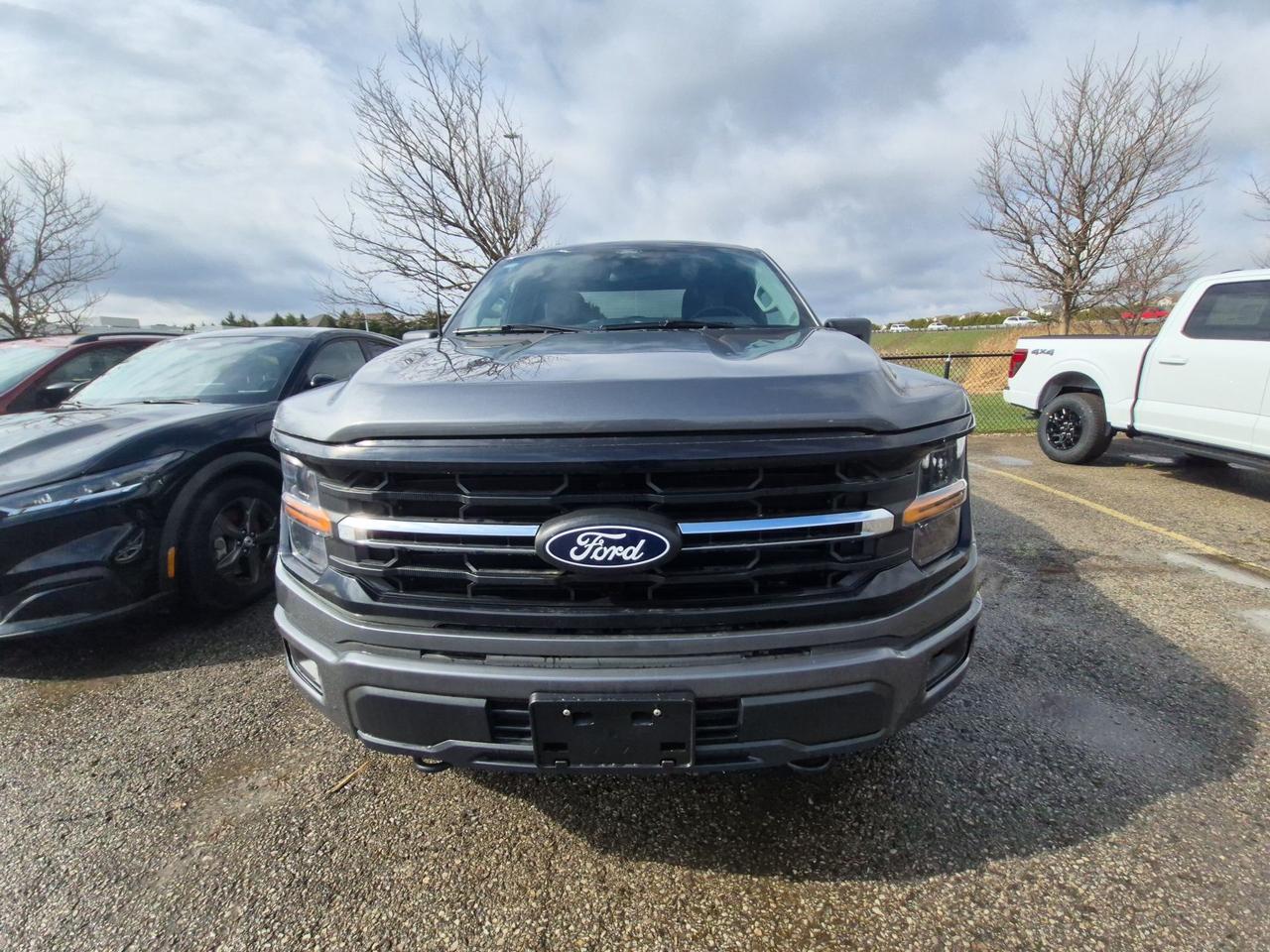 2026 Ford F-150 XLT 4WD SuperCab 6.5' Box Photo2