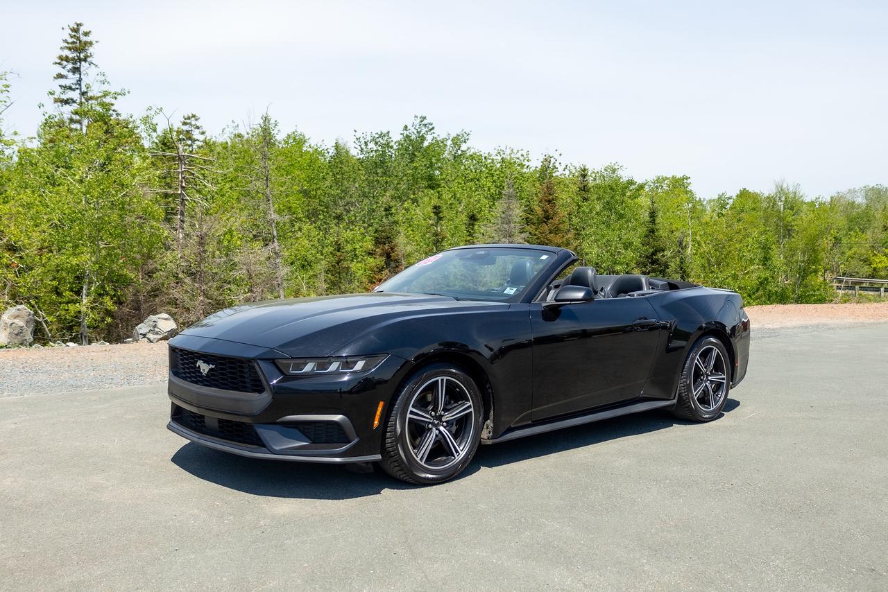 2024 Ford Mustang EcoBoost