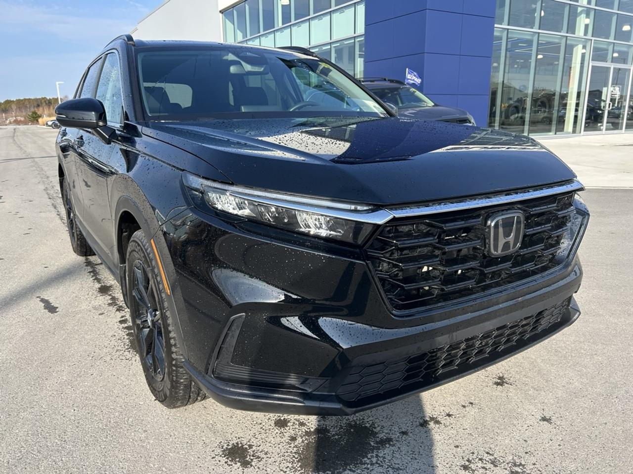 2024 Honda CR-V Sport  - Sunroof -  Power Liftgate Photo