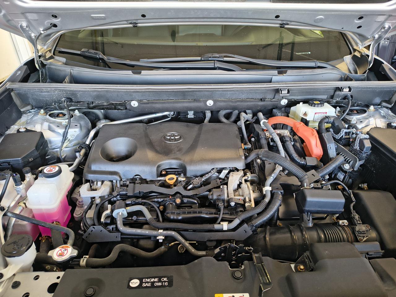 2021 Toyota RAV4 Hybrid XLE Photo