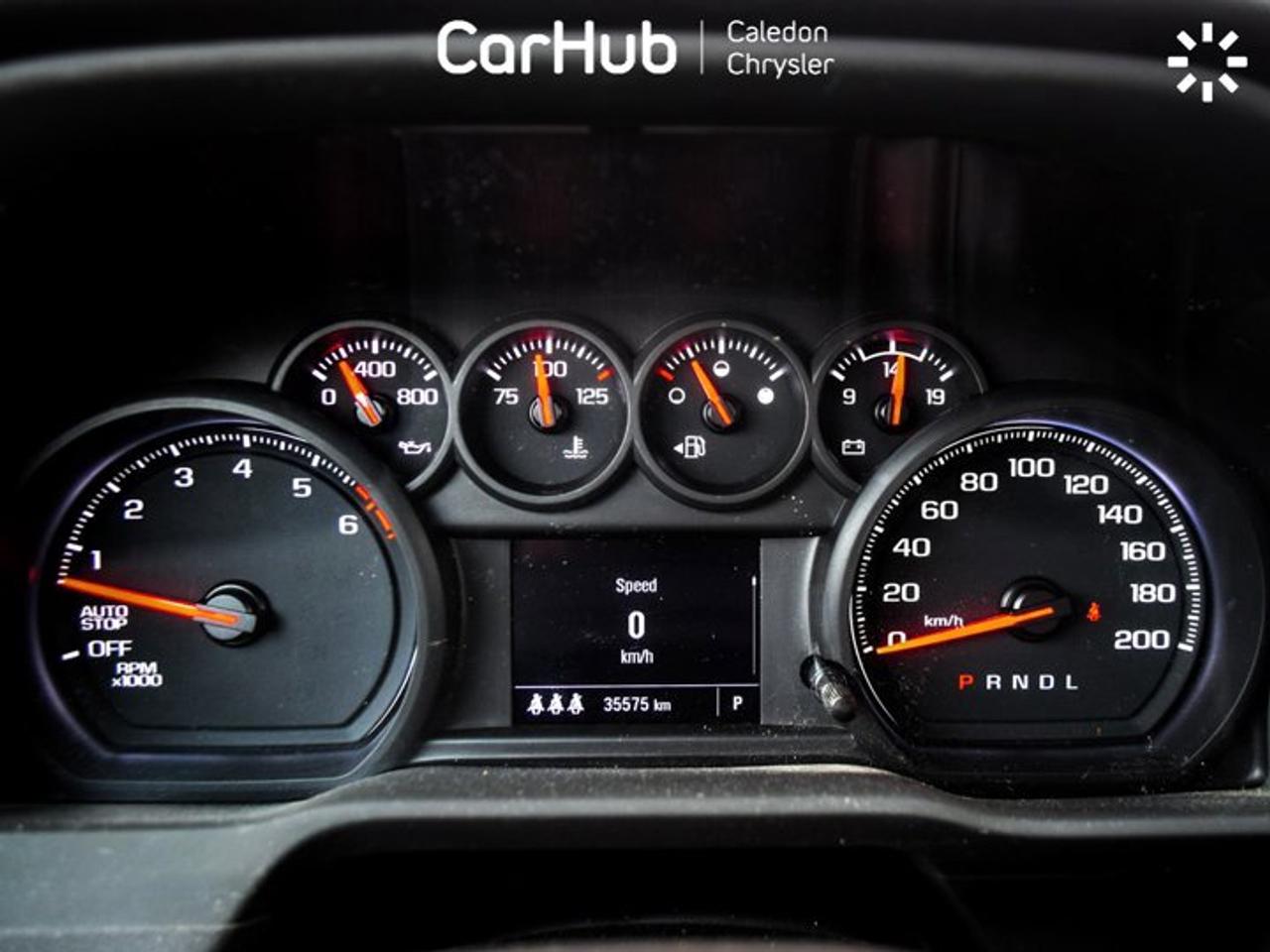 2024 Chevrolet Silverado 1500 Custom Trail Boss 4WD Crew Cab 147" Z71 5.3 L 6 Passenger Photo