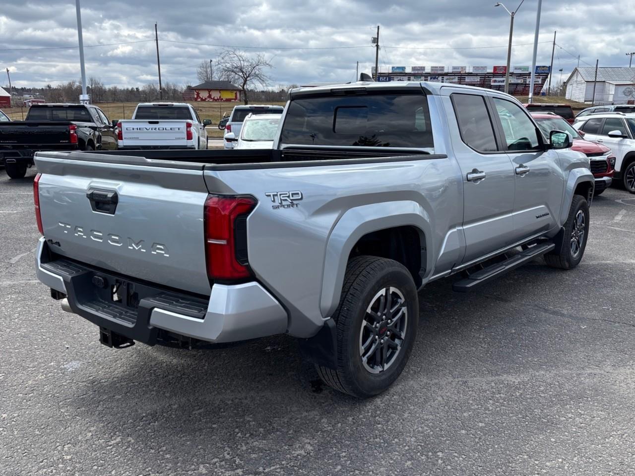2024 Toyota Tacoma  Photo