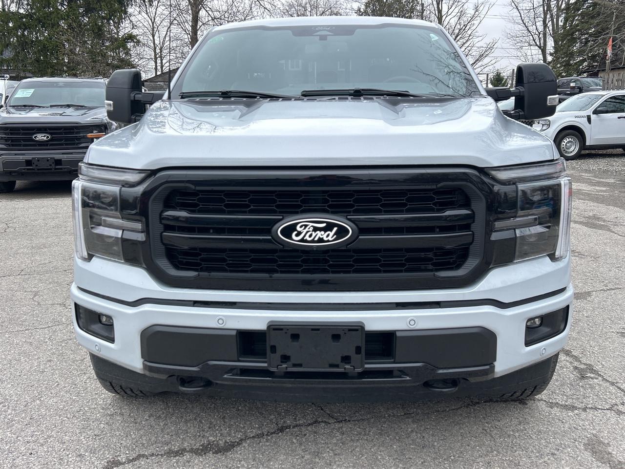 2025 Ford F-150 Lariat 4WD SuperCrew 5.5' Box Photo