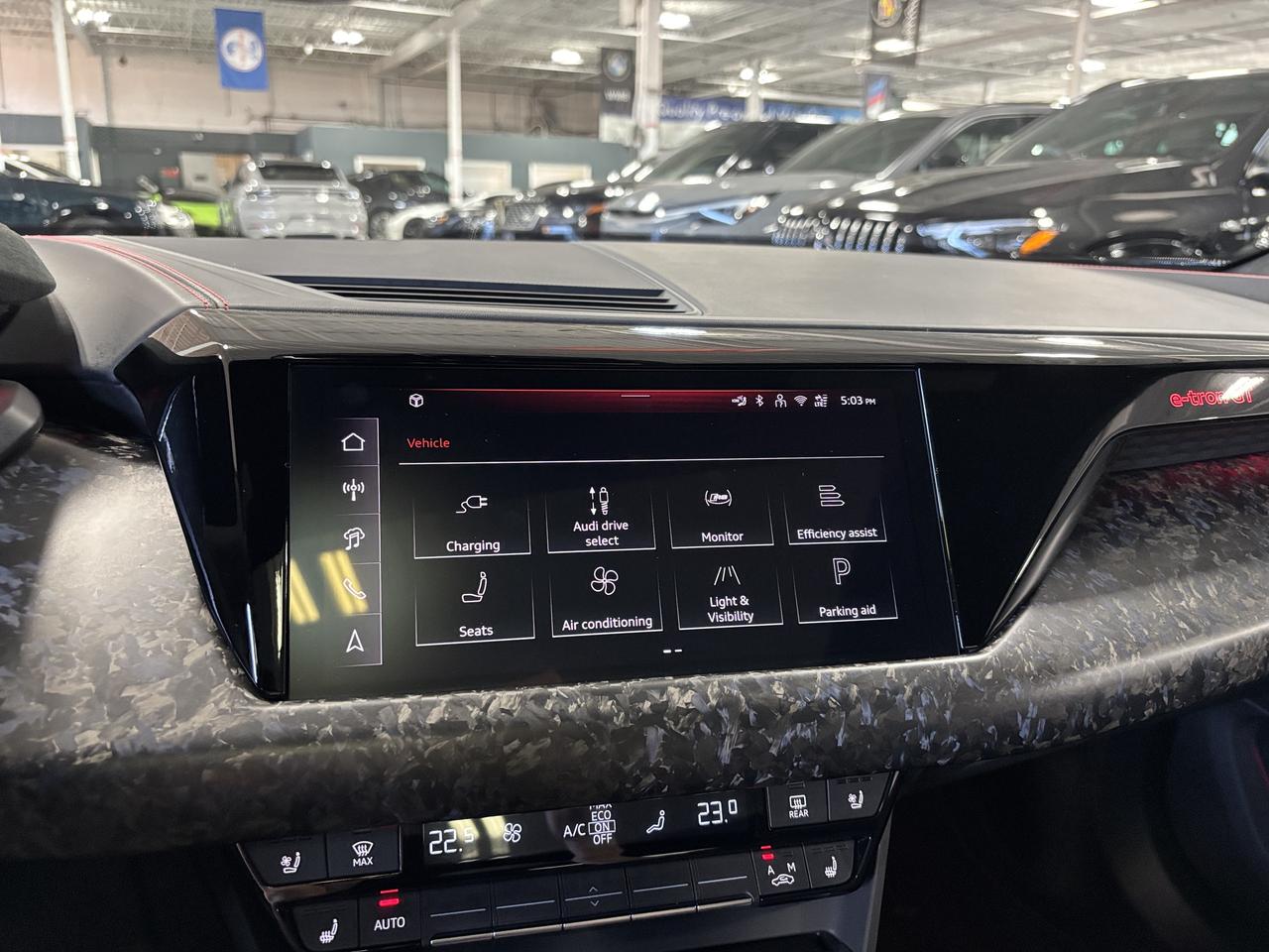 2025 Audi RS e-tron GT Performance|QUATTRO|FORGEDCARBON|CERAMICBRAKES|HUD Photo