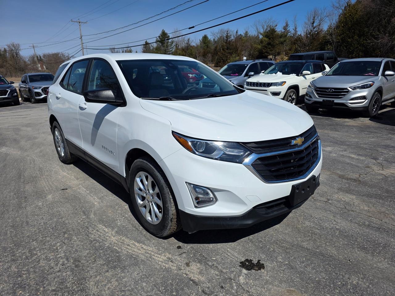2021 Chevrolet Equinox LS Photo
