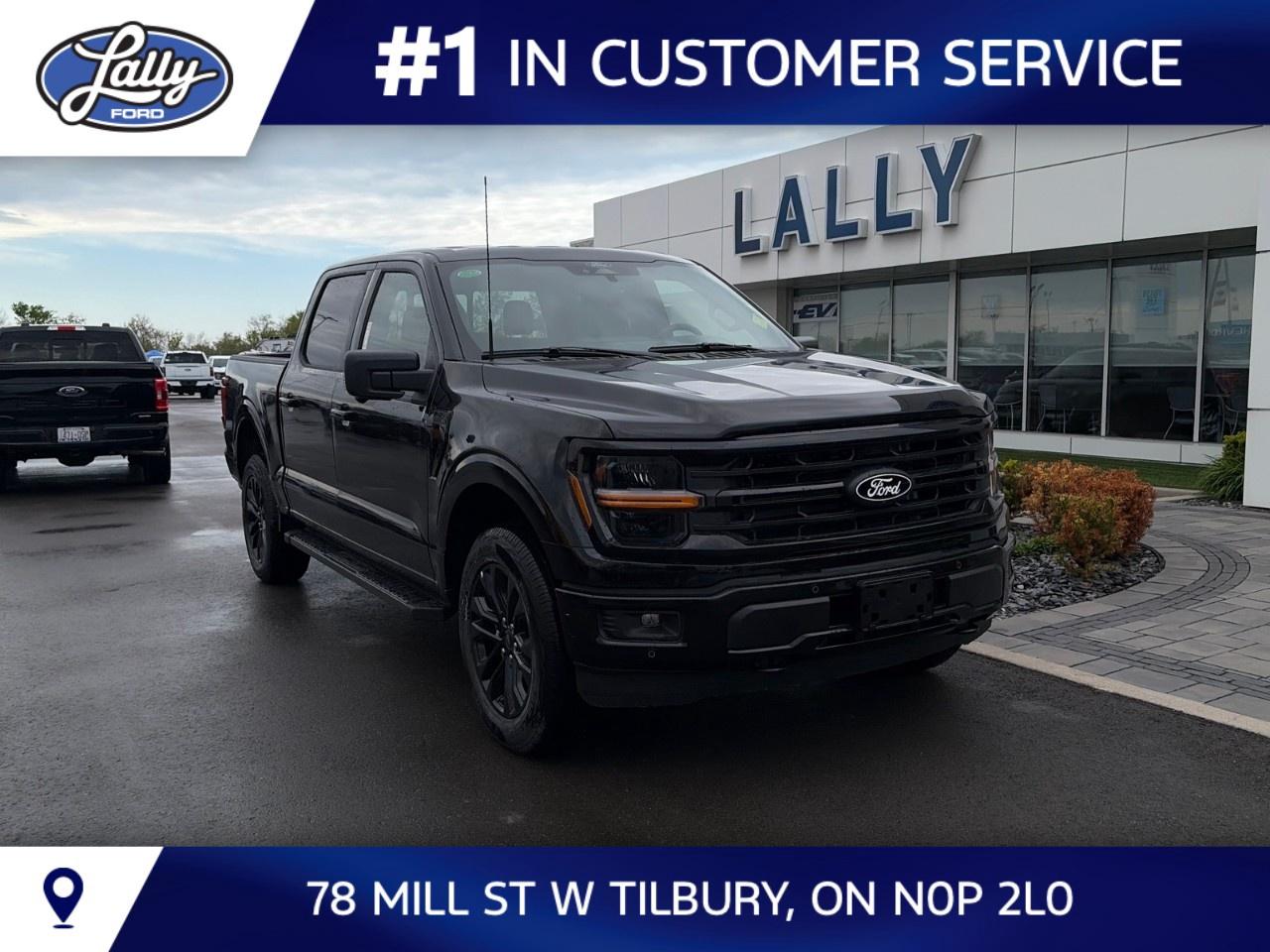 2026 Ford F-150 XLT 4WD SuperCrew 5.5' Box Photo0